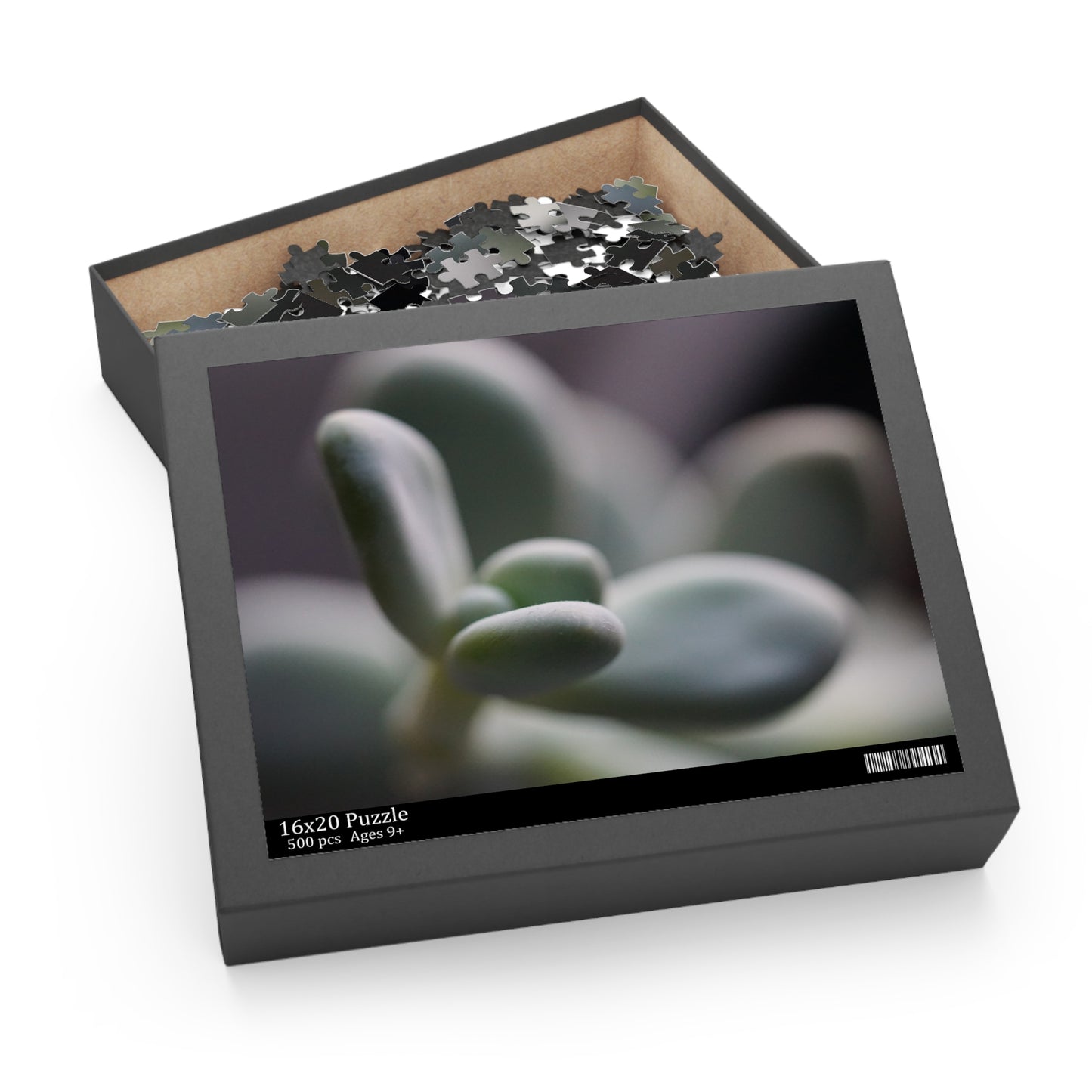 Pink Moonstone Succulent Puzzle - 120, 252, 500-Piece Options