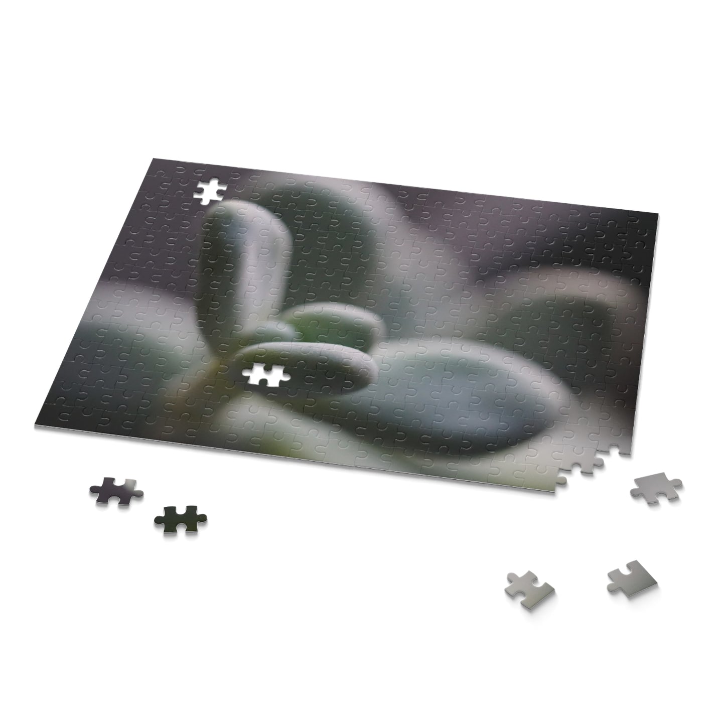 Pink Moonstone Succulent Puzzle - 120, 252, 500-Piece Options