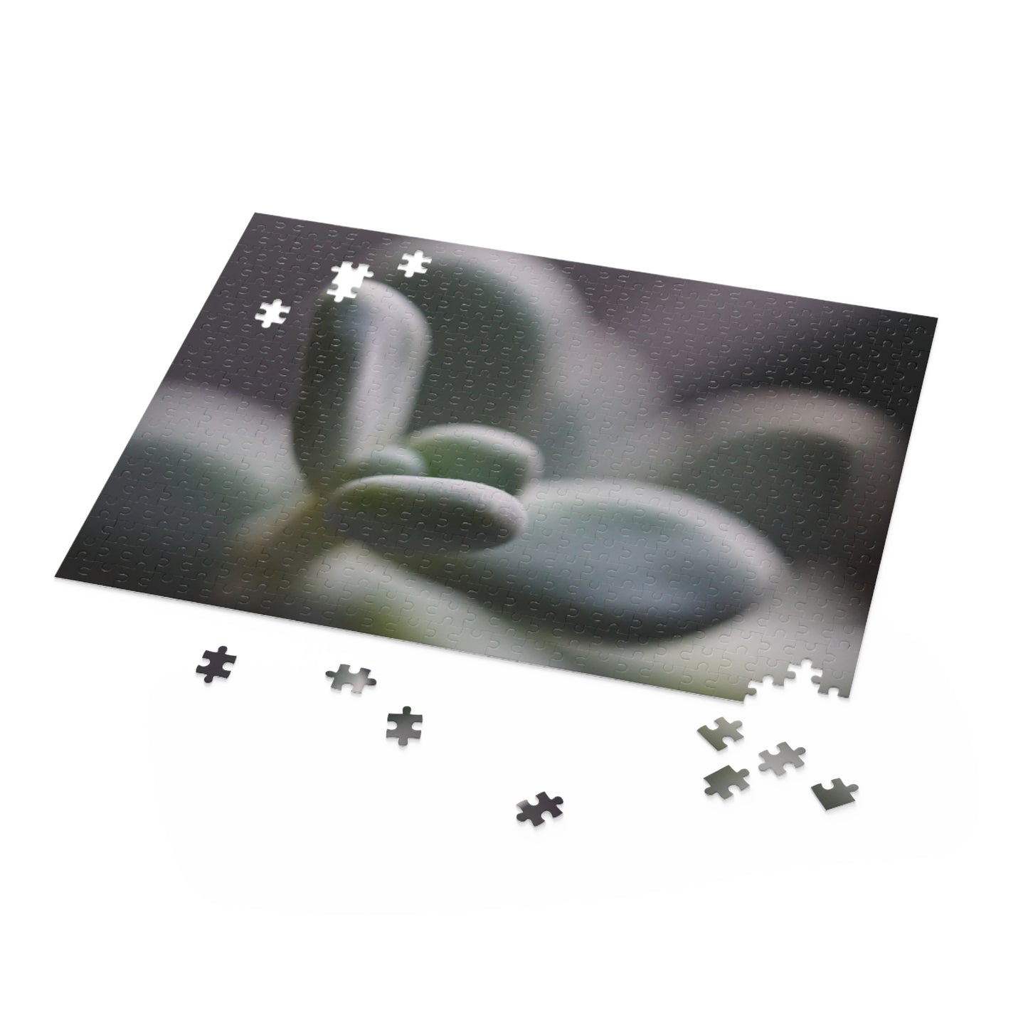 Pink Moonstone Succulent Puzzle - 120, 252, 500-Piece Options