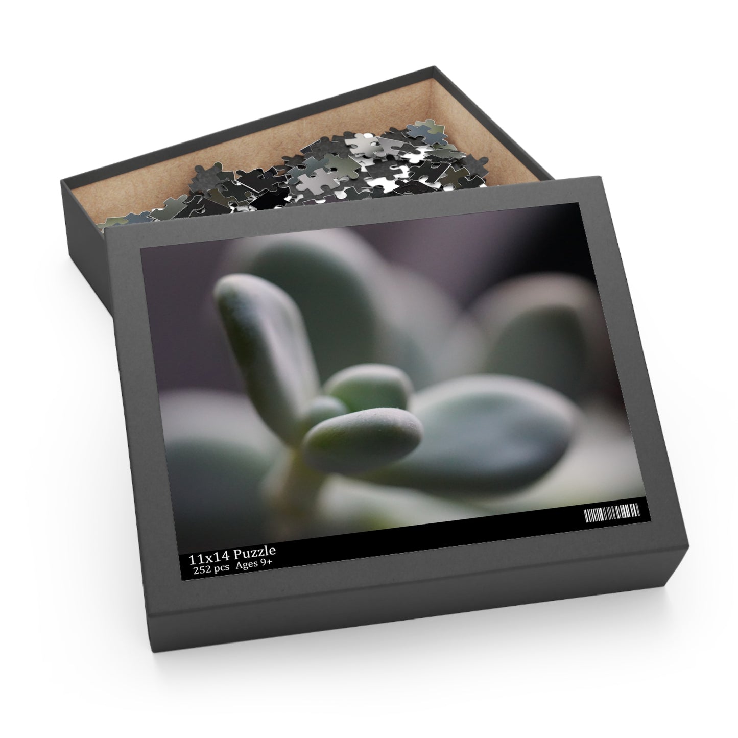 Pink Moonstone Succulent Puzzle - 120, 252, 500-Piece Options