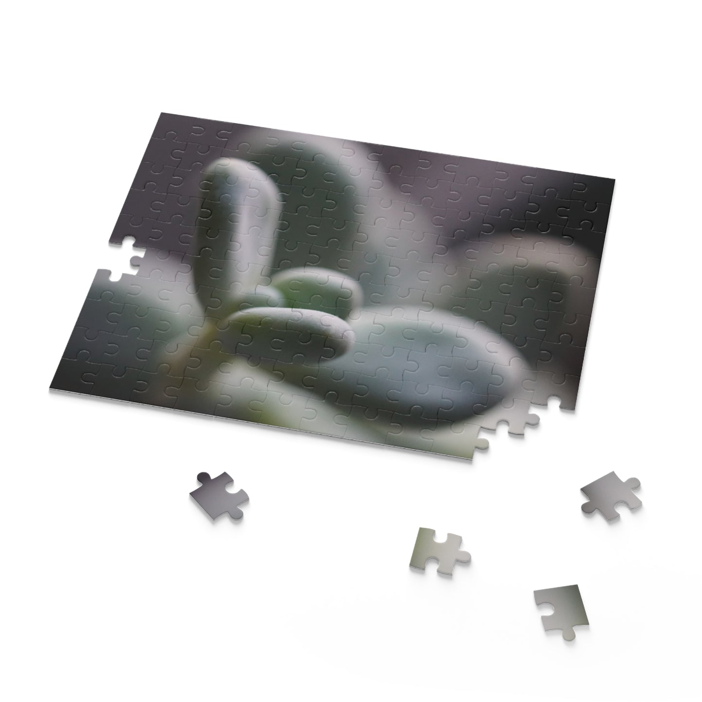 Pink Moonstone Succulent Puzzle - 120, 252, 500-Piece Options