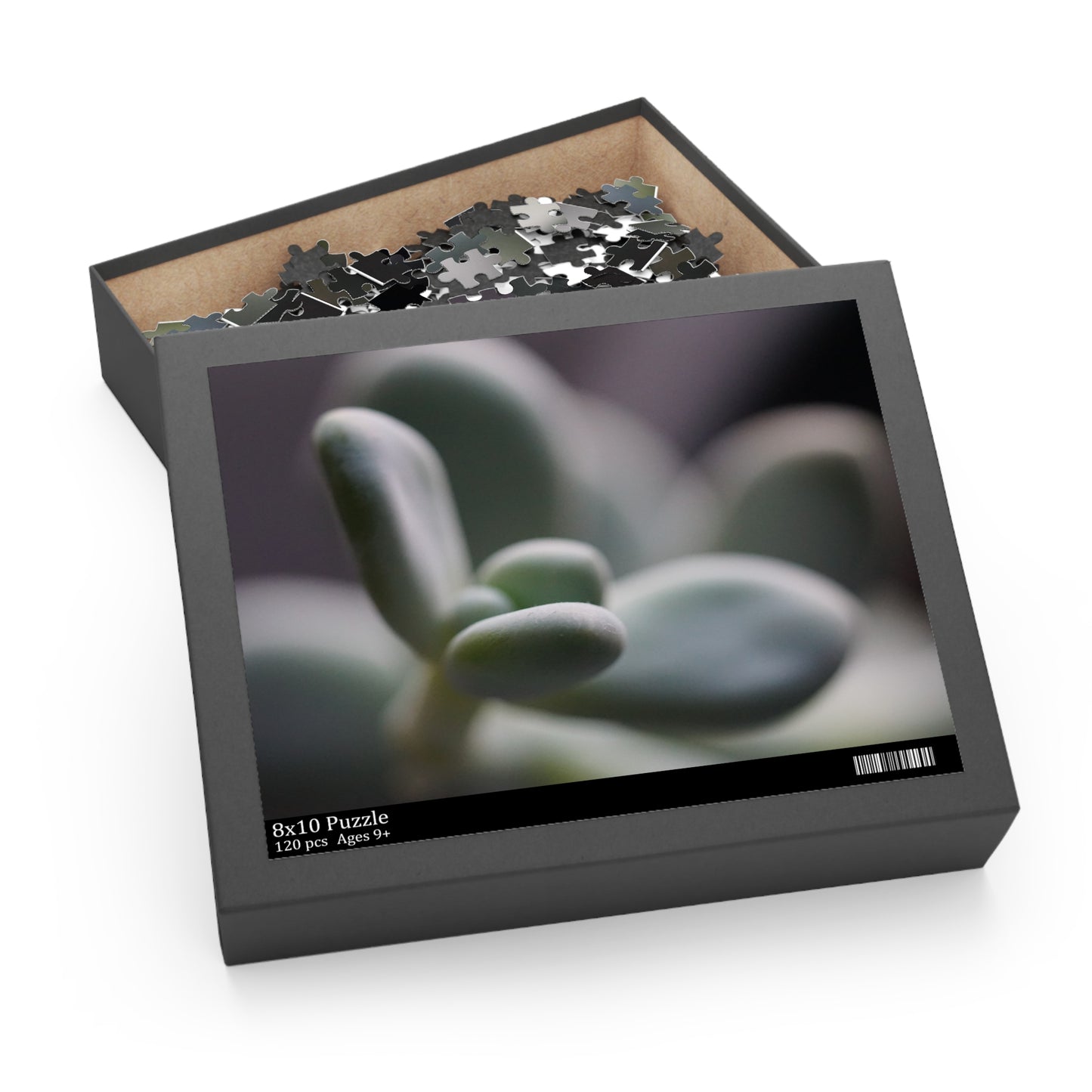 Pink Moonstone Succulent Puzzle - 120, 252, 500-Piece Options